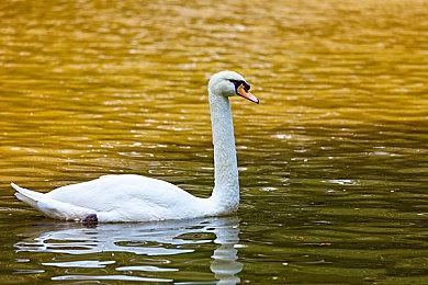 《沙加：Emerald Beyond》明年4月登陆多平台